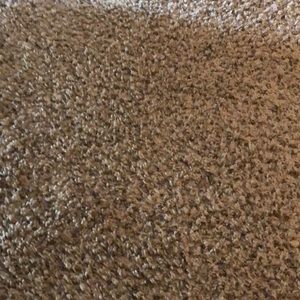 Meet your Posher, Otis